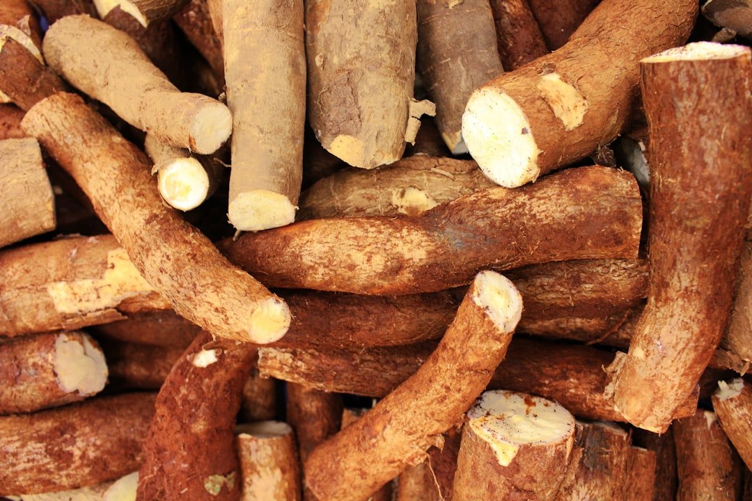 Ashwagandha: Pile of raw cassava roots