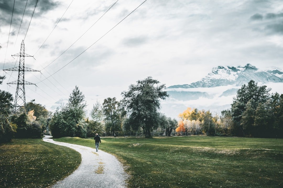 A person walking on a path in a grassy field with trees and mountains in the background