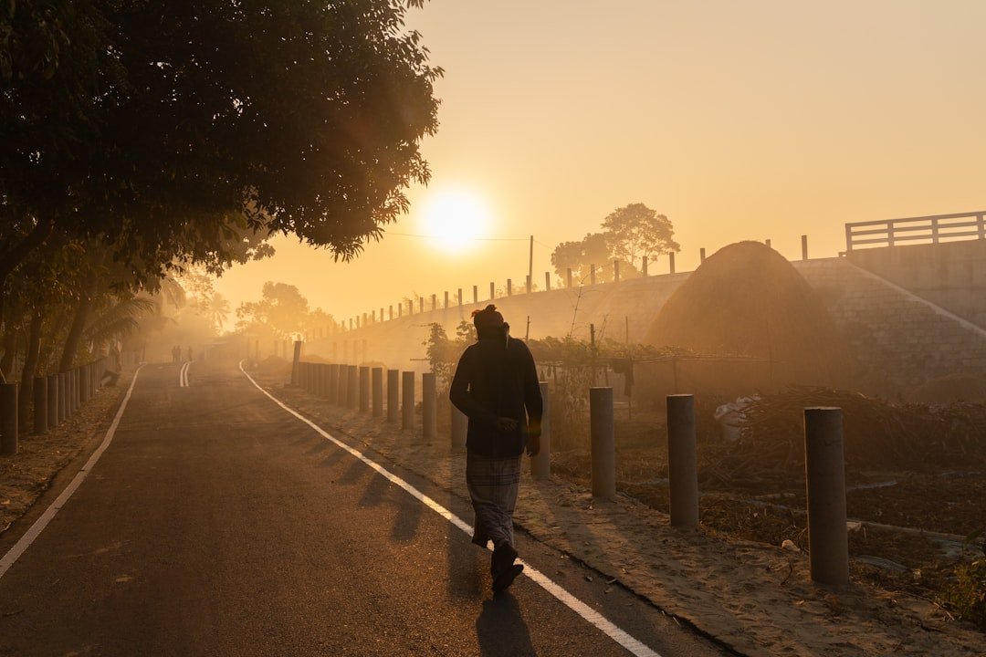 Person walking on a misty road at golden sunrise