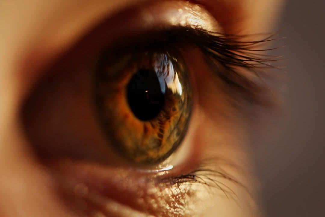 Yellow and gray eyeball
