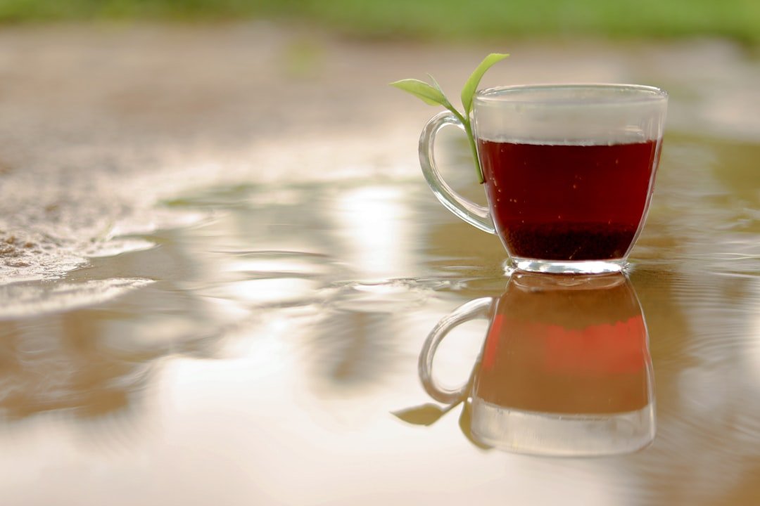 A clear mug of dark tea with a green sprout