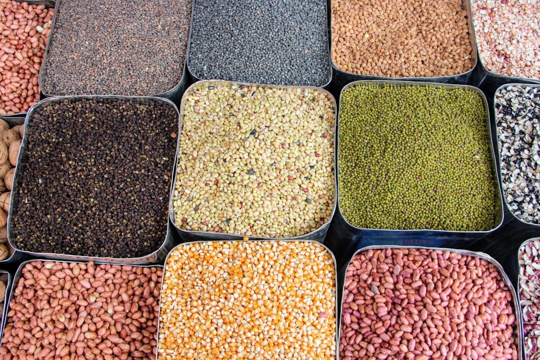 A variety of beans and cereals in trays
