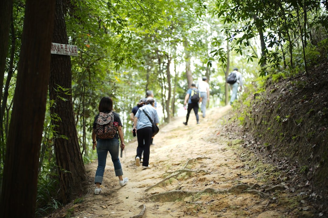 People hiking on a dirt path through a forest