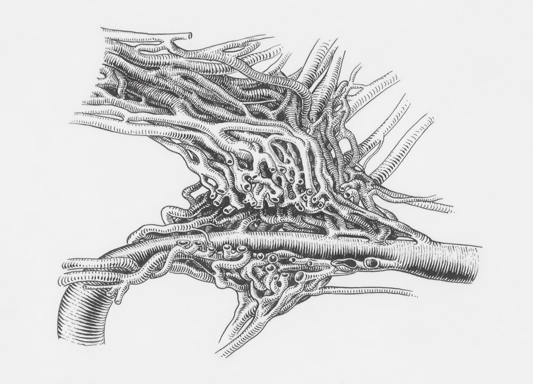 Intricate network of blood vessels and arteries